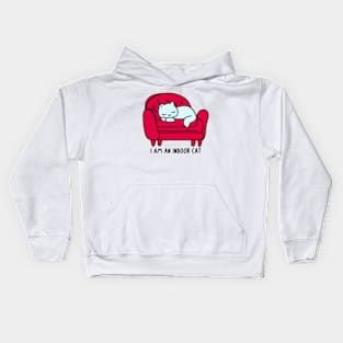 I’m An Indoor Cat Kids Hoodie